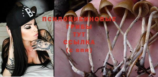 кристаллы Володарск