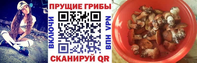 Псилоцибиновые грибы прущие грибы  mega как зайти  Карабулак 