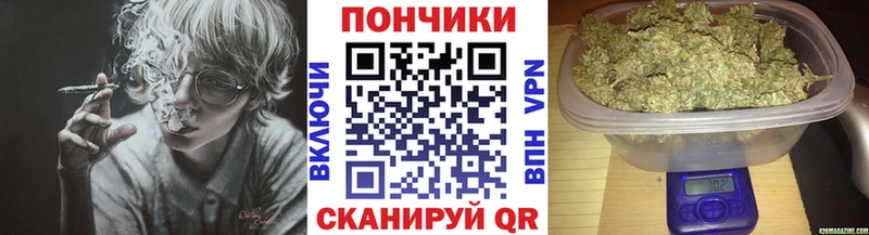 Бошки Шишки гибрид  Карабулак 